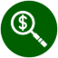 Magnifier icon